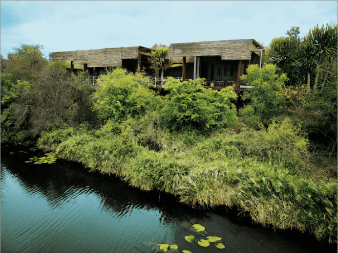 Singita Sweni, Singita Sweni Lodge, Singita, Kruger National Park, Sweni River, Singita Kruger National Park, South Africa, Kruger National Park safari camp, luxury safari camp, South Africa safari camp