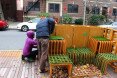 Wilhelmina Peragine, parklet, small parks, public spaces, green spaces, urban design, temporary park, student work, Boston, green innitiative, The Parkolation Project