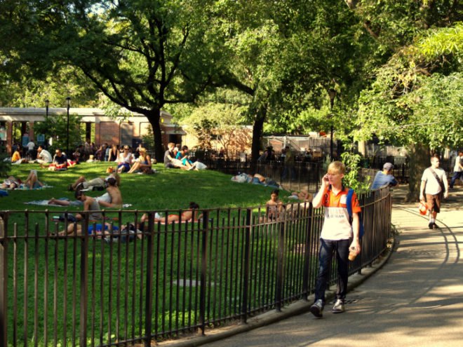 Tompkins Square Park, Tompkins Square Park leaf map, green space nyc, parks nyc, parks east village, east village park, leaf guide nyc, tour of Tompkins Square Park’s trees, Michael Natale leaf guide,