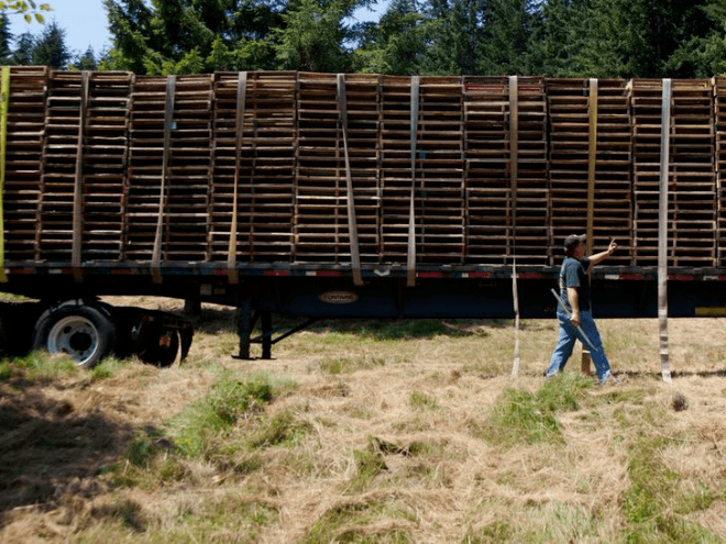 pickathon music festival, happy valley oregon, treeline stage, eco-friendly music festival, eco outdoor music festival, eco concerts, sustainable concerts, sustainable stage design, eco concert design, solar powered lighting, ecoshuttle
