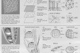 skyscraper, eVolo skyscraper competition 2015, Chernobyl, nuclear disaster, nuclear power, environmental destruction, air purification, water purification, solar power