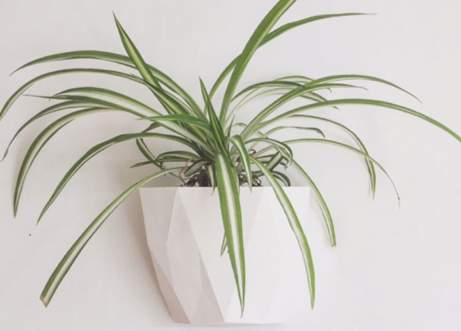 biodegradable planters, 3d printed planters, fiilo planters, fiilo, geometric planters, faceted planters, PLA plastic