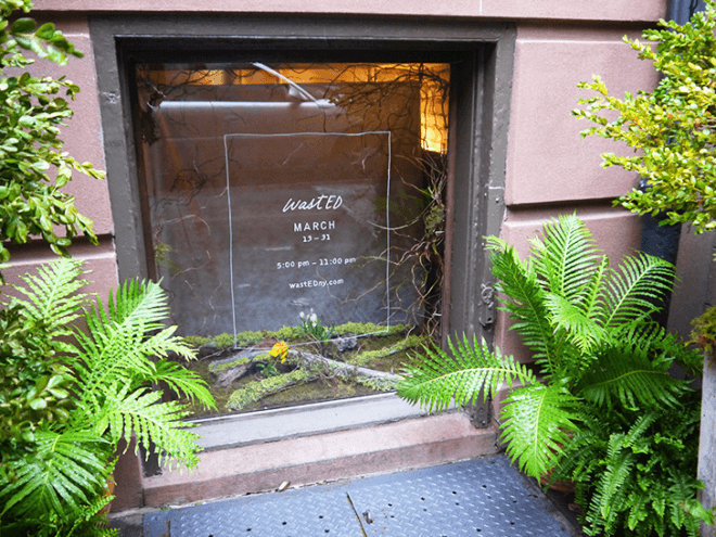 wasted, wasted nyc, blue hill, dan barber, daniel humm, food pop-up nyc, food waste issues, food waste pop up experiment nyc, locavore food nyc, mario batali, wastED pop up, wasted restaurant