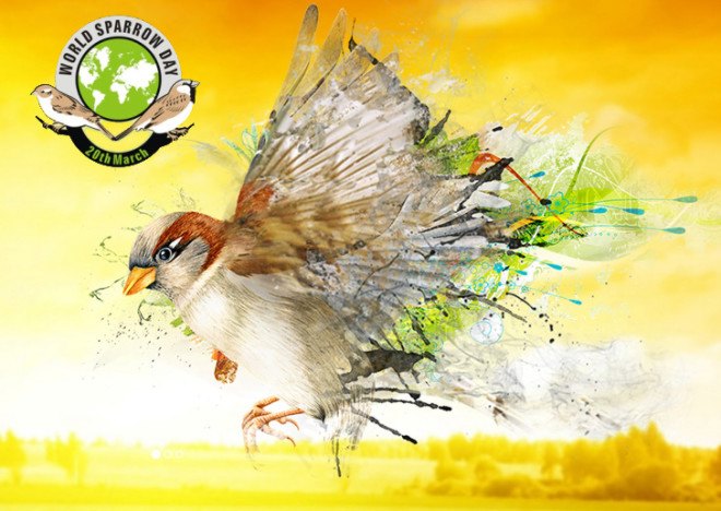 World Sparrow Day, World House Sparrow Day, world sparrow day, house sparrow day, world house sparrow day, passer domesticus