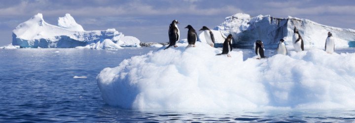 antarctica, high temperatures, record, temp, weather, climate change, warming