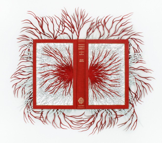 barbara wildenboer, wildenboer, art, artist, book, south african, cape town, michaelis school of fine art, university of capetown, the lotus eaters, oliewenhuis, repurposed