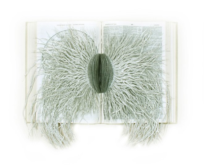barbara wildenboer, wildenboer, art, artist, book, south african, cape town, michaelis school of fine art, university of capetown, the lotus eaters, oliewenhuis, repurposed