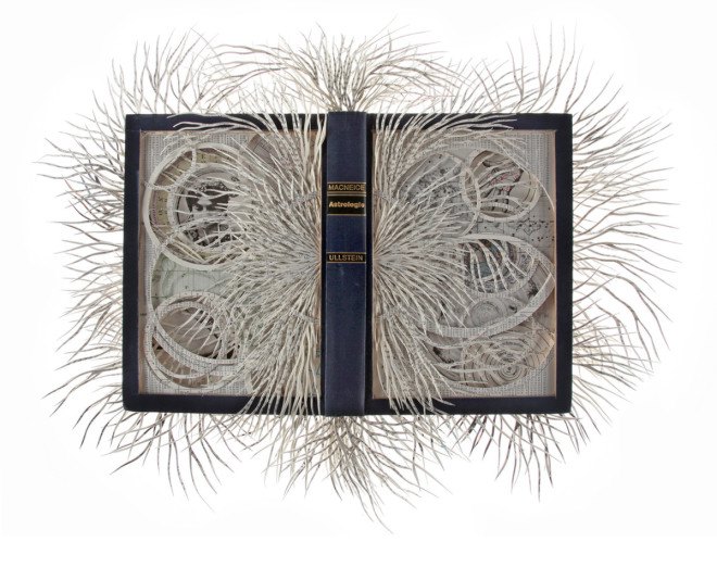 barbara wildenboer, wildenboer, art, artist, book, south african, cape town, michaelis school of fine art, university of capetown, the lotus eaters, oliewenhuis, repurposed