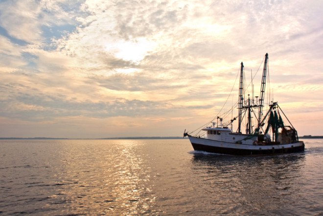 guest post, ocean management, fishing regulations, protecting fish populations, catch shares, limits of fishing
