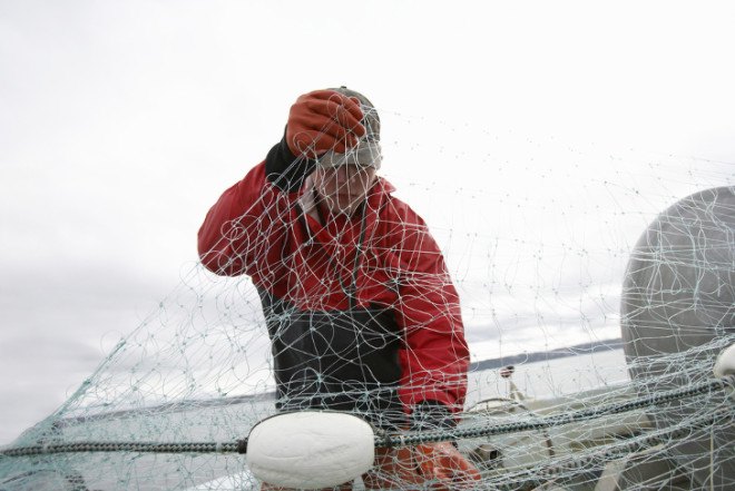 guest post, ocean management, fishing regulations, protecting fish populations, catch shares, limits of fishing