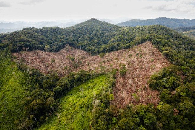 honduras, honduran rainforest, ancient lost city, city of the monkey god, white city, ancient central american civilizations, ancient central american cultures, archaeological discoveries in honduras