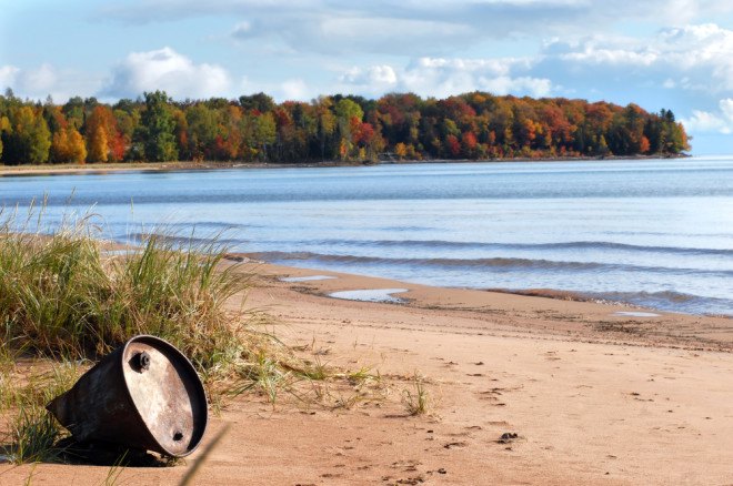 michigan, bald eagles, eagles, pollution, contaminated, pbdes, polybrominated diphenyl ethers, university of michigan, nil basu, journal of great lakes research