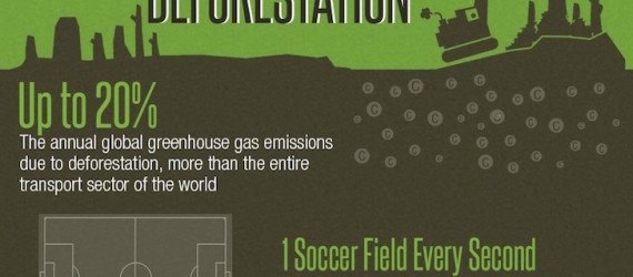 International Day of Forests, infographic, reader submitted content, Crowes Sawmills Ltd, forest facts, forests, trees, deforestation, climate change,