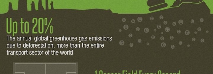International Day of Forests, infographic, reader submitted content, Crowes Sawmills Ltd, forest facts, forests, trees, deforestation, climate change,