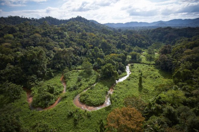 honduras, honduran rainforest, ancient lost city, city of the monkey god, white city, ancient central american civilizations, ancient central american cultures, archaeological discoveries in honduras