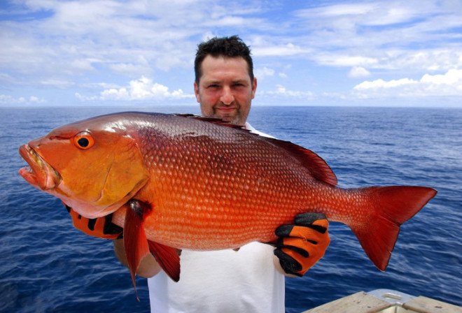 guest post, ocean management, fishing regulations, protecting fish populations, catch shares, limits of fishing