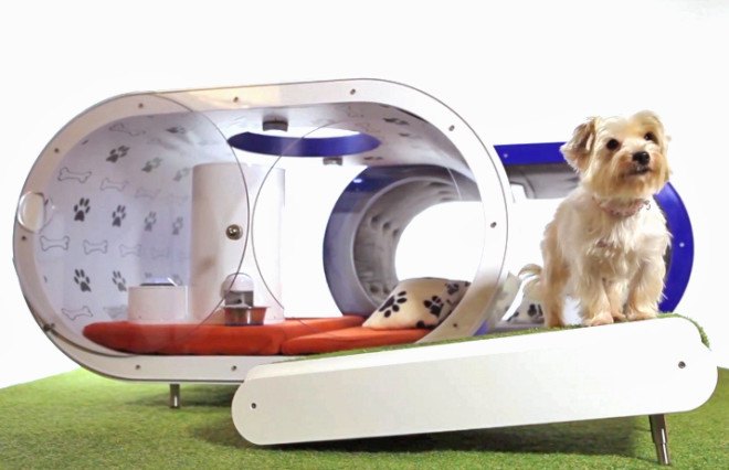 samsung, dog, doghouse, dream doghouse, crufts, pet accessories, pet health, treadmill