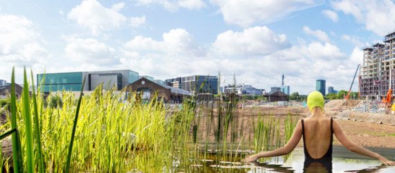 King’s Cross, Ooze architects, Marjetica Potrč, Of Soil and Water: King’s Cross Pond Club, King’s cross redevelopment, Efa Pfannes, ecosystem, small-scale pond, natural pool, natural swimming pool, natural pond, wetland plants