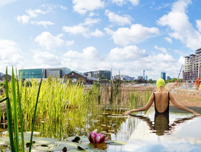 King’s Cross, Ooze architects, Marjetica Potrč, Of Soil and Water: King’s Cross Pond Club, King’s cross redevelopment, Efa Pfannes, ecosystem, small-scale pond, natural pool, natural swimming pool, natural pond, wetland plants