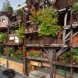 luciano pia, urban greenhouse, 25 verde, turin, italy, sustainable building, green roof