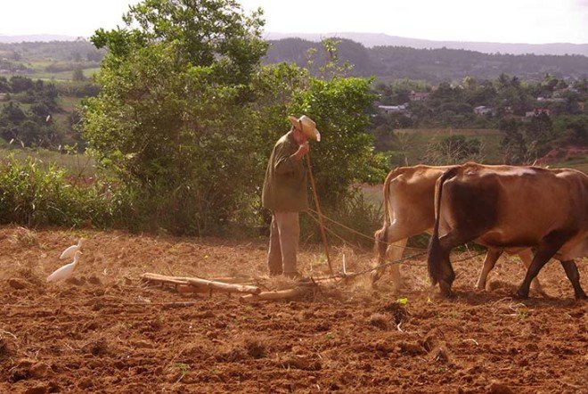 Cuba, farms, farming, sustainability, petroleum-based chemicals, pesticides, agroecology, healthy soil, castro, communism, embargo, organic farming, agribusiness, lobbying, monsanto, cargill, archer daniels midland, big agriculture, industrial farming