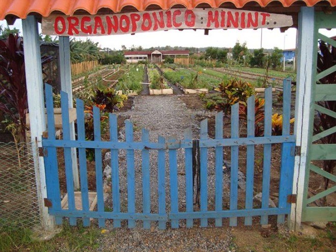 Cuba, farms, farming, sustainability, petroleum-based chemicals, pesticides, agroecology, healthy soil, castro, communism, embargo, organic farming, agribusiness, lobbying, monsanto, cargill, archer daniels midland, big agriculture, industrial farming