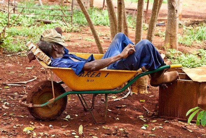 Cuba, farms, farming, sustainability, petroleum-based chemicals, pesticides, agroecology, healthy soil, castro, communism, embargo, organic farming, agribusiness, lobbying, monsanto, cargill, archer daniels midland, big agriculture, industrial farming
