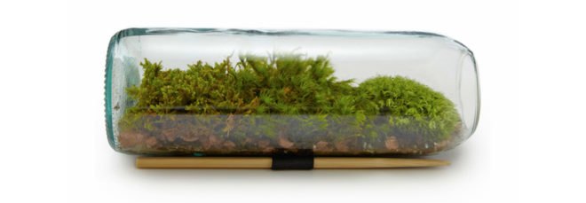 Magnetic Wall Terrarium, diy, earth day diy, earth day, do it yourself, crafts, earth day crafts, make it yourself, green design, eco design, sustainable design, recycled design, recycled crafts