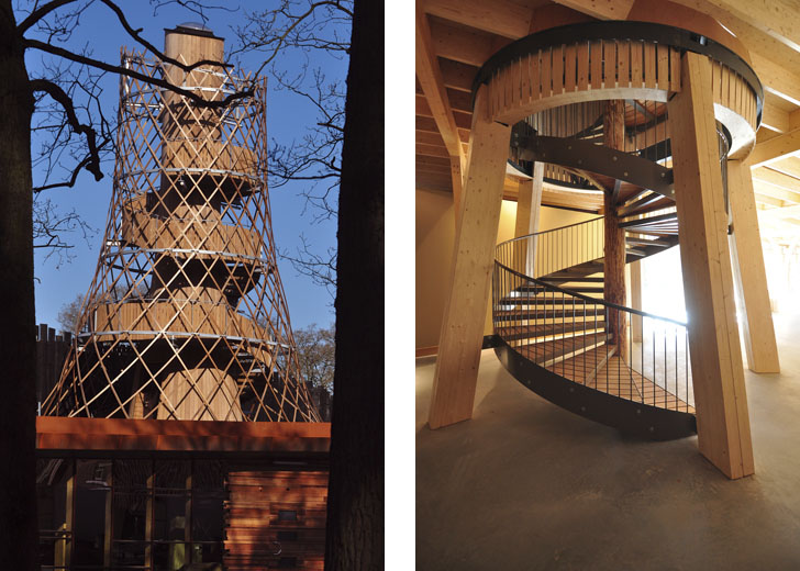 Assen Environment Centre, Dutch Eco Architecture, Green Design Netherlands, Sustainable Architecture Holland, Wooden Architecture, Forest Architecture, Sustainability Education Netherlands, 24H Architecture