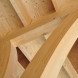 Assen Environment Centre, Dutch Eco Architecture, Green Design Netherlands, Sustainable Architecture Holland, Wooden Architecture, Forest Architecture, Sustainability Education Netherlands, 24H Architecture