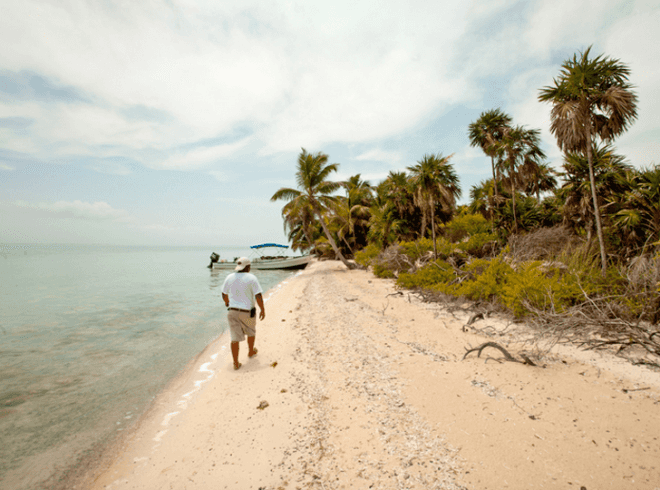 Leonardo DiCaprio, Leo DiCaprio, eco-resort, Belize eco-resort, Blackadore Caye, Leonardo DiCaprio eco-resort Belize, Blackadore Caye eco resort, island luxury resort, Paul Scialla, Delos, Belize island, restorative resort, DiCaprio, dicaprio island resort, Belize island