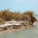Leonardo DiCaprio, Leo DiCaprio, eco-resort, Belize eco-resort, Blackadore Caye, Leonardo DiCaprio eco-resort Belize, Blackadore Caye eco resort, island luxury resort, Paul Scialla, Delos, Belize island, restorative resort, DiCaprio, dicaprio island resort, Belize island