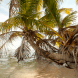 Leonardo DiCaprio, Leo DiCaprio, eco-resort, Belize eco-resort, Blackadore Caye, Leonardo DiCaprio eco-resort Belize, Blackadore Caye eco resort, island luxury resort, Paul Scialla, Delos, Belize island, restorative resort, DiCaprio, dicaprio island resort, Belize island
