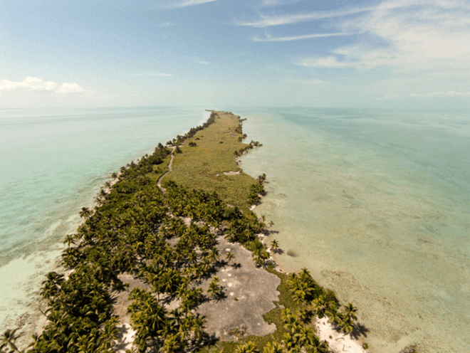 Leonardo DiCaprio, Leo DiCaprio, eco-resort, Belize eco-resort, Blackadore Caye, Leonardo DiCaprio eco-resort Belize, Blackadore Caye eco resort, island luxury resort, Paul Scialla, Delos, Belize island, restorative resort, DiCaprio, dicaprio island resort, Belize island