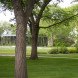 GH3, Borden Park, Borden Park pavilion, Edmonton, pavilion, glowing pavilion, glulam, DOuglas fir, laminated douglas fir