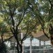Foster + Partners, Buenos Aires city hall, Argentina, undulating roof, concrete roof, natural ventilation, thermal mass, glass facade, skylights, green architecture