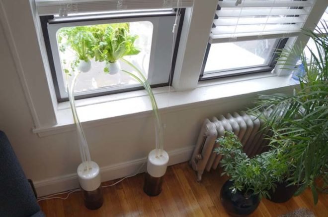 green design, eco design, sustainable design, Cloud Farm, Bradley Ferrada, Nimbus and Biome, kitchen garden, apartment garden, hydroponic garden