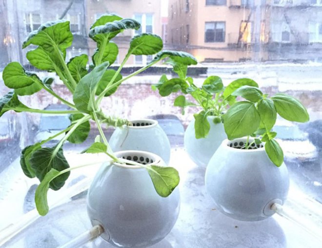 green design, eco design, sustainable design, Cloud Farm, Bradley Ferrada, Nimbus and Biome, kitchen garden, apartment garden, hydroponic garden