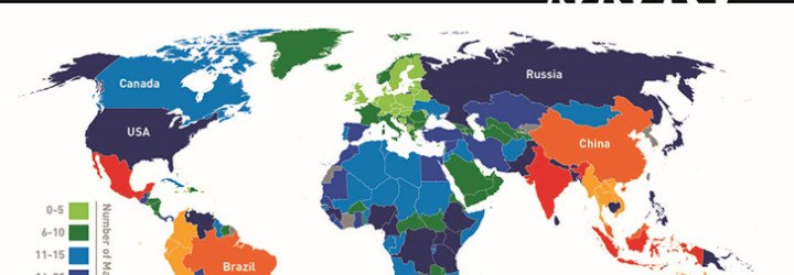 Infographic, animal infographic, animal conservation infographic, animal protection, animal conservation, endangered animals, countries with endangered animals, threatened animals, countries with threatened animals, countries with most threatened animals, The Eco Experts, reader submission,