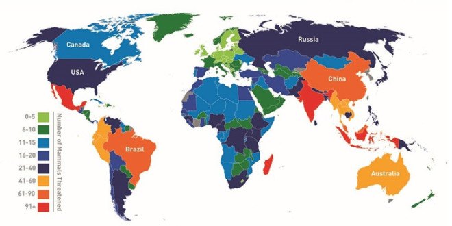 Infographic, animal infographic, animal conservation infographic, animal protection, animal conservation, endangered animals, countries with endangered animals, threatened animals, countries with threatened animals, countries with most threatened animals, The Eco Experts, reader submission,