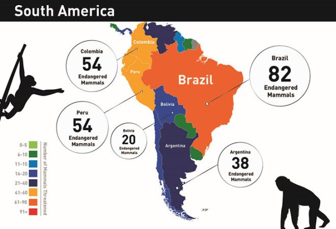 Infographic, animal infographic, animal conservation infographic, animal protection, animal conservation, endangered animals, countries with endangered animals, threatened animals, countries with threatened animals, countries with most threatened animals, The Eco Experts, reader submission,