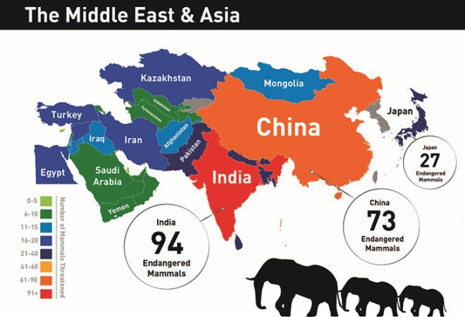 Infographic, animal infographic, animal conservation infographic, animal protection, animal conservation, endangered animals, countries with endangered animals, threatened animals, countries with threatened animals, countries with most threatened animals, The Eco Experts, reader submission,