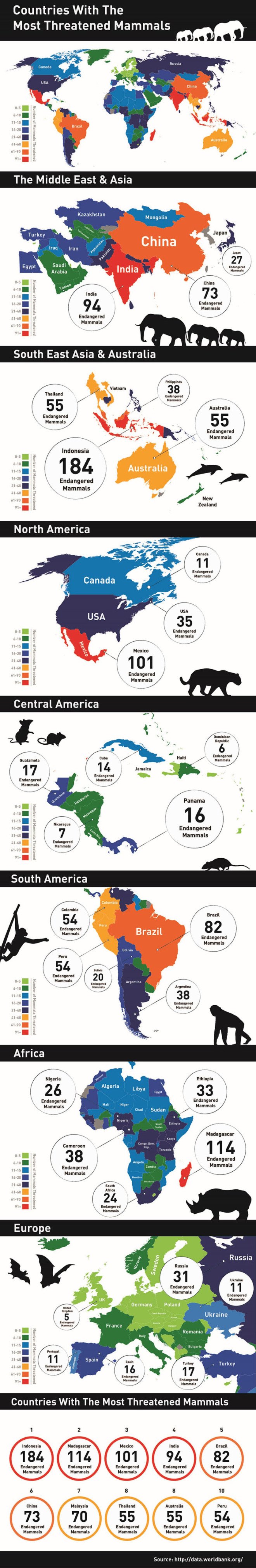 Infographic, animal infographic, animal conservation infographic, animal protection, animal conservation, endangered animals, countries with endangered animals, threatened animals, countries with threatened animals, countries with most threatened animals, The Eco Experts, reader submission,