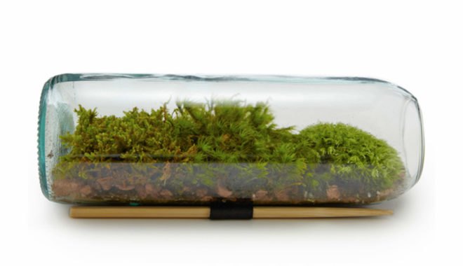 Terrarium, diy, earth day diy, earth day, do it yourself, crafts, earth day crafts, make it yourself, green design, eco design, sustainable design, recycled design, recycled crafts
