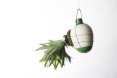 Project Epiphytes, Dossofiorito, indoor plants, plant species, Milan Design Week, Salone Satellite 2015, indoor garden, suspended garden, green design, plant ecosystem