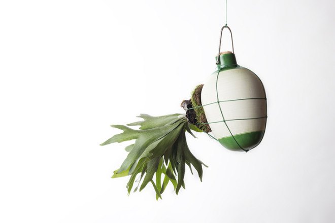 Project Epiphytes, Dossofiorito, indoor plants, plant species, Milan Design Week, Salone Satellite 2015, indoor garden, suspended garden, green design, plant ecosystem