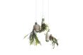 Project Epiphytes, Dossofiorito, indoor plants, plant species, Milan Design Week, Salone Satellite 2015, indoor garden, suspended garden, green design, plant ecosystem