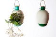 Project Epiphytes, Dossofiorito, indoor plants, plant species, Milan Design Week, Salone Satellite 2015, indoor garden, suspended garden, green design, plant ecosystem