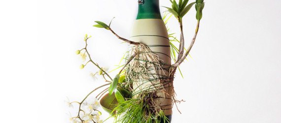 Project Epiphytes, Dossofiorito, indoor plants, plant species, Milan Design Week, Salone Satellite 2015, indoor garden, suspended garden, green design, plant ecosystem