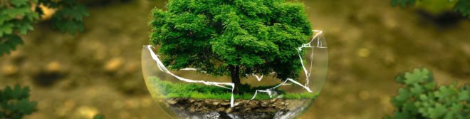 Earth Day, Earth Day 2017, Earth Day facts, Earth Day information, Environmental Protection Agency, Clean Air Act, Vangel, #earthdayfacts, reader submissions, Peace Bell Ceremony